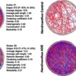 Süni intellekt daha yaxşı istilik yığan cihazların dizaynı üçün lazım olan vaxtı azaldır