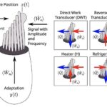 Zehni və fiziki xəstəliklər əl-ələ verir. Yeni bir genetik tədqiqat bunun səbəbini izah edir