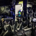 Kiçilən it beyninin “quyruğu”: Araşdırma göstərir ki, onlar 5000 il əvvəl kiçilməyə başlayıblar