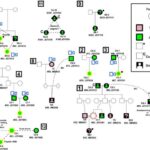 Astronomlar kainatın ilk ulduzları üçün indiyə qədərki ən güclü dəlil tapdılar