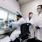 Göbələk “veziküllü avtostop”a istiqamət verən bağlanma yerləri – yeni tədqiqat mRNT daşınmasını xəritələşdirir