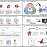 Yerli amerikalılar Köhnə Dünyadakı həmkarlarından əvvəl zar atır, qumar oynayır və ehtimal minilliklərini araşdırırdılar
