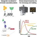 Kainatın riyazi “forması” kosmoloji sabit problemini həll edə bilərmi?
