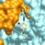 GLP-1 agonist dərmanları həzm sistemində yan təsirlər göstərir, lakin infeksiyalarla mübarizə aparmağa kömək edə bilər