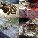 20 yaşlarınızda gizli bir amil on illər sonra ürəyinizdə qalıcı bir iz buraxa bilər