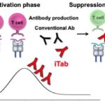 Yaradıcı terapiya DEHB beynini necə yenidən canlandırmağa kömək edə bilər