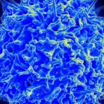 Atom səviyyəli simulyasiyalar kritik biomolekulyar mühərrikin arxasındakı fırlanma mexanizmini ortaya qoyur