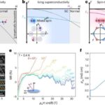 Uqandanın Python Mağarası, Marburq virusunun necə yayıla biləcəyini ortaya qoyur