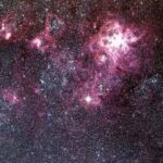 Adi torpaq göbələyi pestisid istifadəsini azalda bilər və pomidorların daha güclü böyüməsinə kömək edə bilər