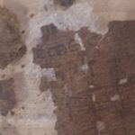 Əlil tutuquşu “dimdiklə döyüş” romanı sayəsində qrupunun məğlubedilməz alfa erkəyi oldu