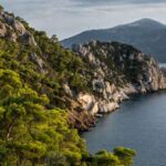 Qədim kəhrəba, olduqca qeyri-adi bir xüsusiyyət olan caynaqları olan əsl böcəyi ortaya qoyur