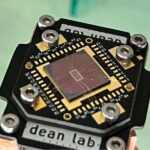 Yeni bir araşdırma, qaranlıq şəxsiyyət xüsusiyyətlərinə malik insanların liderlik rollarına təbii olaraq meylli olduqlarını ortaya çıxardı