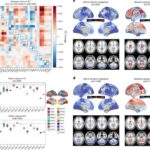 Tədqiqatlar göstərir ki, bakteriyalar hüceyrə membranlarına əbədi olaraq kimyəvi maddələr toxumaqdadır