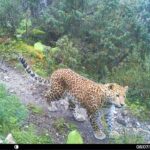 Yeni bir tənlik baristalara hər dəfə mükəmməl espresso hazırlamağa kömək edə bilər