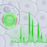 Yeni autizm terapiyası uşaqların sosial ünsiyyətini cəmi beş günə yaxşılaşdıra bilər