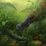 Yuxularınız gününüzü təkrarlamaqdan daha çox şey edir və bu araşdırma bunun səbəbini göstərir