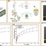 Skanlar göstərir ki, “ən qədim ahtapot” fosili heç də ahtapot deyil