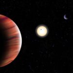 Muzey çekmecesindəki fosil, güclü bir dişləmə ilə 200 milyon illik timsah qohumunu ortaya çıxardı