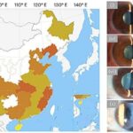 Qonşuluğunuz sizi necə qocalda bilər