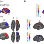 Milli səviyyədə maliyyələşdirilən səhiyyə tədqiqatlarının yarıdan azı nəticələri cinsə görə bölür ki, bu da məlumatların əldən verilməsinə səbəb ola bilər.