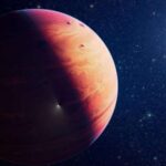 Rəqib qrupun hücumu körpənin ölümünə səbəb olduqdan sonra Bonobosun dinc reputasiyası sarsıldı