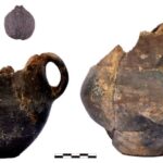 Pomidor və buğda bitkilərində tapılan plastiklər böyüməni ləngidir – Araşdırmalar göstərir