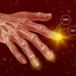 Kvant dalğasında gəzmək: Kvazipartiküllər maqnito-optik nəqliyyat fenomenini ortaya qoyur