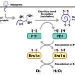 Mexaniki mavi LED: Dartılan GaN, kimyəvi maddəni dəyişdirmədən işığı UV-dən maviyə keçirir