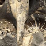 Ucuz material işığı sıxışdıraraq terahers diapazonunda fotonik mikrosxemlərin yolunu açır