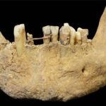 Arxeoloqlar tarixdən əvvəlki insan tərəfindən düzəldilmiş adanın sirlərini açırlar