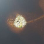 JWST planetar qəribə cütlüyün mənşəyini müəyyənləşdirir