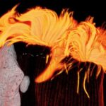 11 illik bir araşdırma göstərir ki, temperaturun yüksəlməsi torpaqda antibiotik müqavimətini artıra bilər