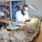 DNT uyğunluqları Franklin ekspedisiyasından daha dörd dənizçini müəyyən edir