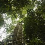 Elektrik təyyarələri üçün hazırlanmış 100 kVt-lıq tam ifrat keçirici aviasiya mühərriki
