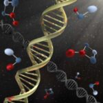 Psilosibinin tək yüksək dozası 80 yaşlı Alzheimer xəstəsində itirilmiş qabiliyyətləri müvəqqəti olaraq bərpa edir