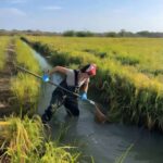 Kosta Rika torpaq sahiblərinə meşələri və biomüxtəlifliyi bərpa etmək üçün pul ödəyib — bioakustika bunun işə yaradığını göstərir