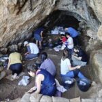 Süni intellekt sistemi zülal ardıcıllıqlarını mətnə ​​çevirir və naməlum zülalların funksiyalarını aşkar etməyə kömək edir