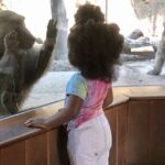 Afrikada meşə yanğınları mövsümü əslində qısalır, elm adamları bunun səbəbini bildiklərini düşünürlər