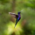 Müasir vulkan püskürməsindən sonra lavada Yer kürəsinin ilkin maqma okeanının izləri aşkar edilib