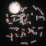 Fiziklər Honq-Ou-Mandel interferensiyasını 10-dan çox atomla nümayiş etdirirlər