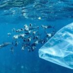 Araşdırmalar göstərir ki, kiçik su damcıları inadkar plastik tullantıları qiymətli turşulara çevirir