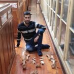 Ağac qurbağalarının cinsi həyatı: Dişilər birdən çox partnyorla cütləşərək necə daha yaxşı yuvalar qururlar