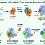 Mühəndislər otaq temperaturunda kvant istilik dalğalarını müşahidə edirlər