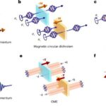 Ortaq nanostrukturlar iki geniş yayılmış qaranlıq materialda ortaq fotoxüsusiyyətləri izah edə bilər