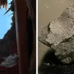 Xərçəng böyüməyə davam etmək üçün öz DNT-sini parçalaya bilər