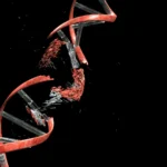 Nyu-Cersi ştatının damına düşən meteorit həyatın mənşəyinə dair ipuclarını ortaya çıxarır
