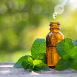 Alkoqoldan imtina beyni residiv üçün hazırlaya bilər