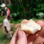 İnsan anatomiyasının bitdiyini düşünürsünüz? Alimlər yenidən düşünməyi məsləhət görürlər