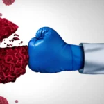 Çinin Çanqe-6 stansiyası Günəş küləyinin Ayın iki tərəfinə niyə fərqli şəkildə dəydiyini açıqladı