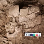UNESCO Aralıq dənizində sunami ehtimalının 100%-ə yaxın olduğunu xəbərdar edir